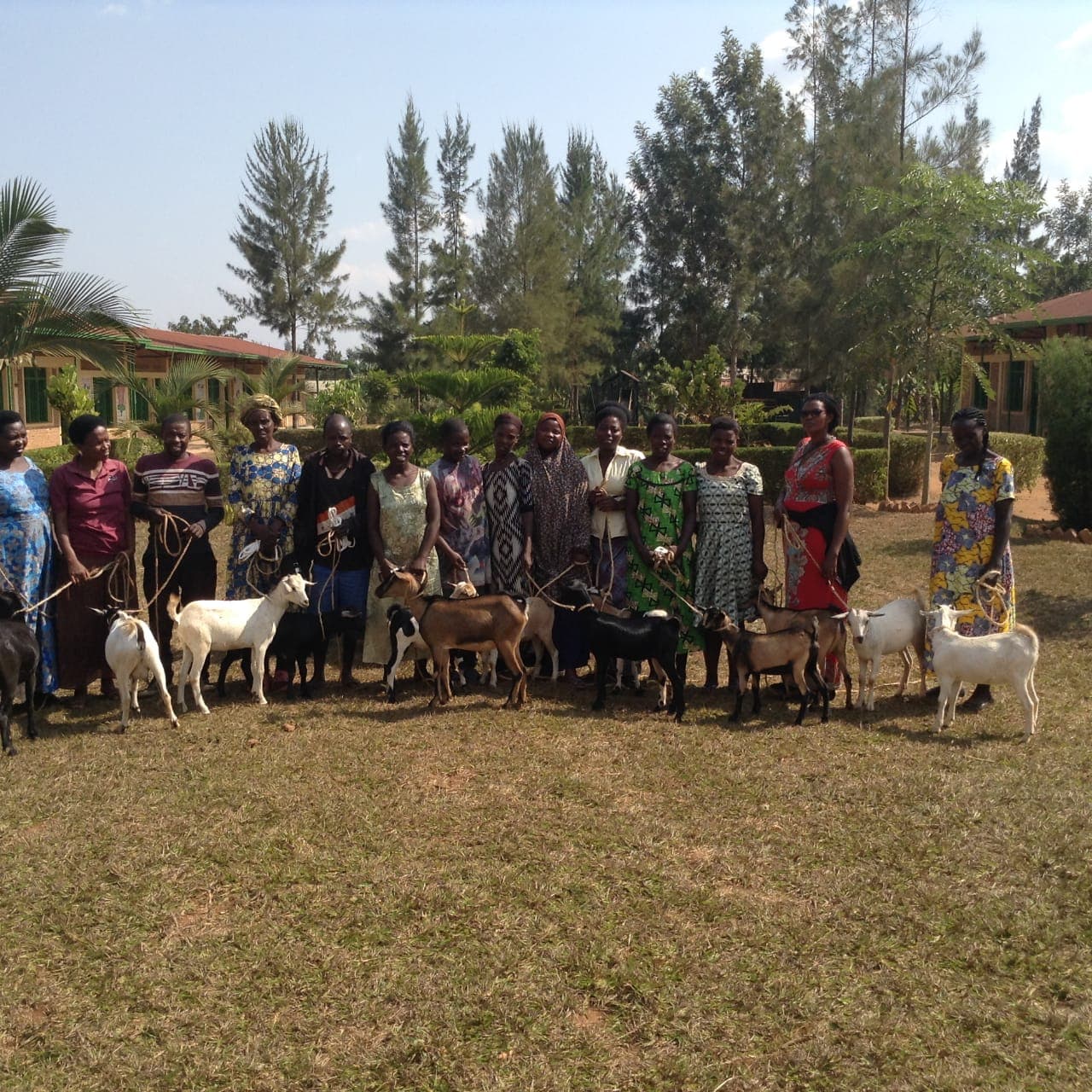 Family receiving a goat through the Buy a Goat project