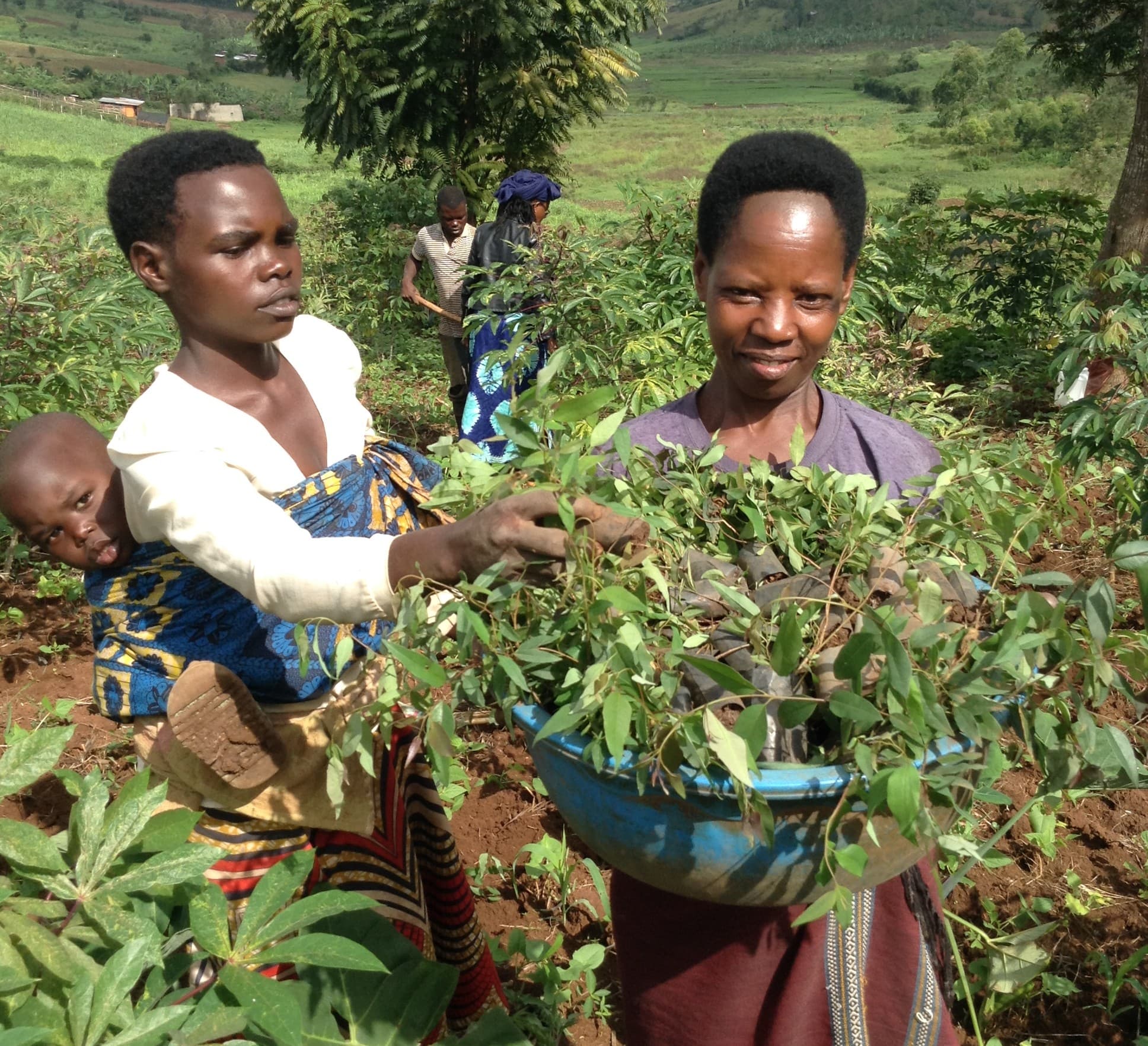 Tree Planting Initiative