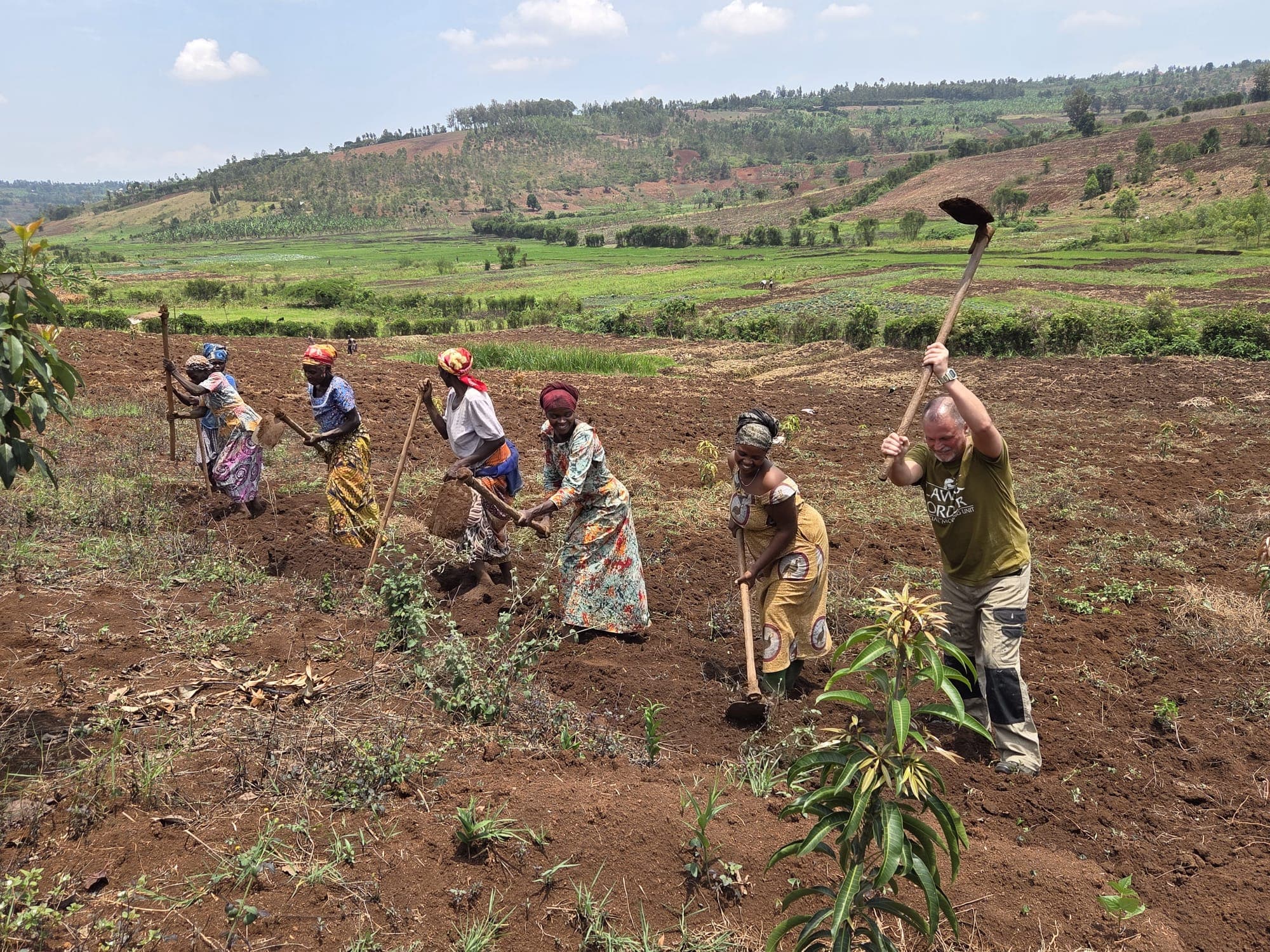 Tree seedlings being prepared for planting