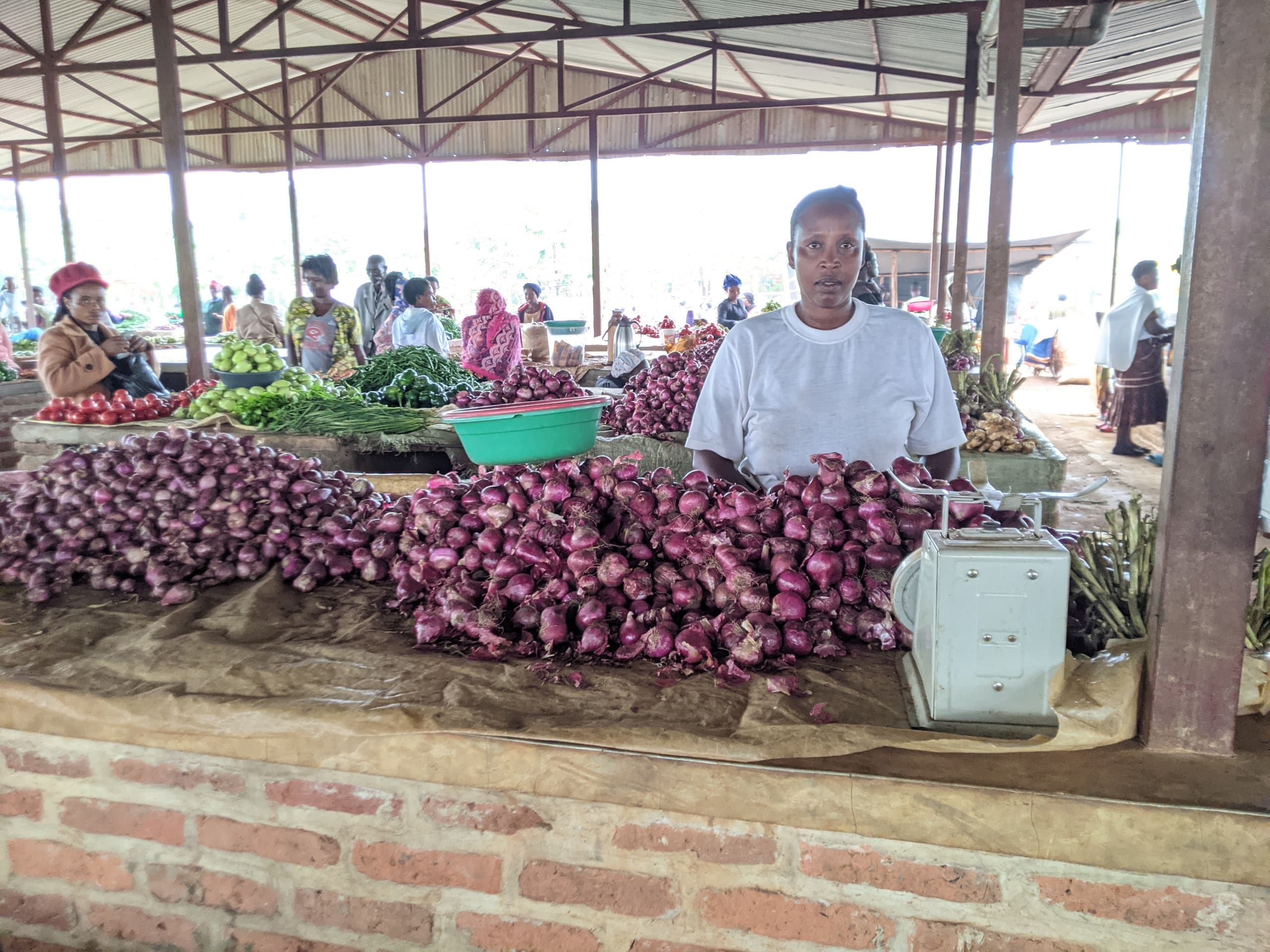 Women in cooperative business activities